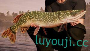 钓鱼模拟世界专业鲈鱼渔具版-中文绅士游戏下载,黄游,色情手机游戏,绅士漫画,里番啊