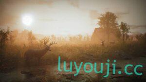 羊肚菌：狩猎游戏-中文绅士游戏下载,黄游,色情手机游戏,绅士漫画,里番